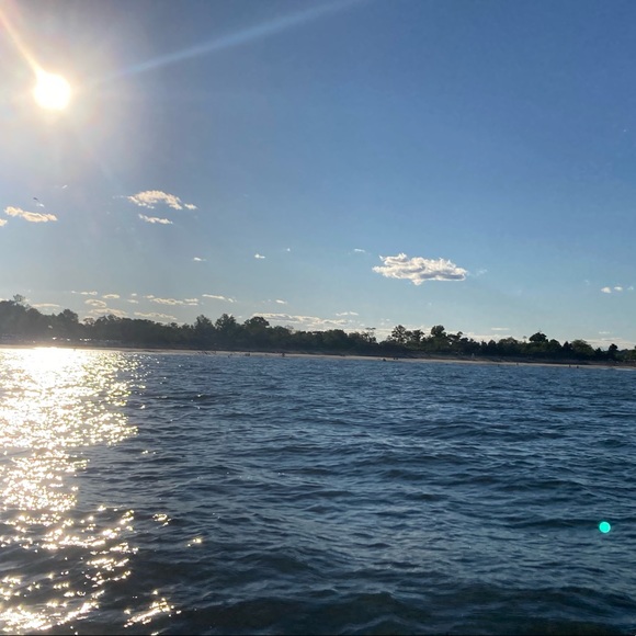 Meet your Posher, Lexi - Picture 1 of 1